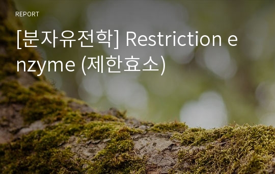 [분자유전학] Restriction enzyme (제한효소)