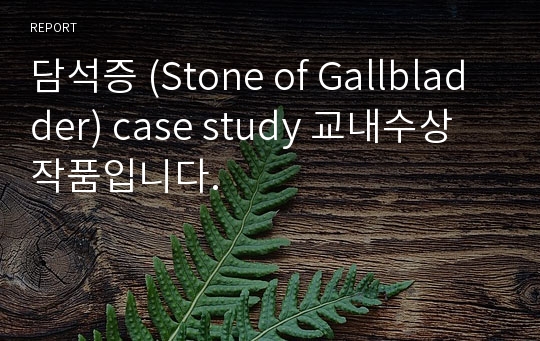 담석증 (Stone of Gallbladder) case study 교내수상작품입니다.
