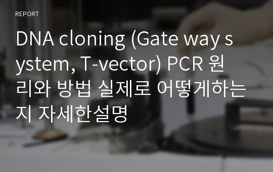 DNA cloning (Gate way system, T-vector) PCR 원리와 방법 실제로 어떻게하는지 자세한설명