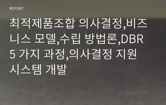 최적제품조합 의사결정,비즈니스 모델,수립 방법론,DBR 5 가지 과정,의사결정 지원 시스템 개발