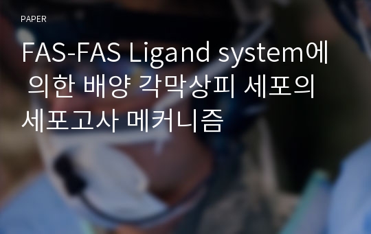 FAS-FAS ligand system에 의한 배양 각막상피 세포의 세포고사 메커니즘
