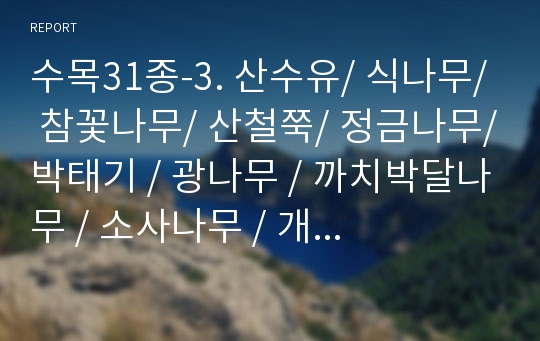 수목31종-3. 산수유/ 식나무/ 참꽃나무/ 산철쭉/ 정금나무/박태기 / 광나무 / 까치박달나무 / 소사나무 / 개암나무