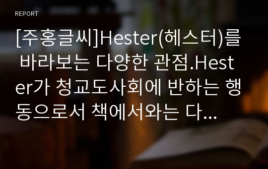 [주홍글씨]Hester(헤스터)를 바라보는 다양한 관점.Hester가 청교도사회에 반하는 행동으로서 책에서와는 다른 장면.