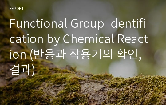 Functional Group Identification by Chemical Reaction (반응과 작용기의 확인, 결과)