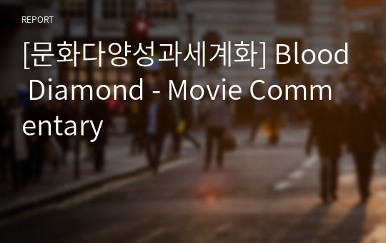 [문화다양성과세계화] Blood Diamond - Movie Commentary