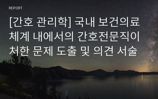 [간호 관리학] 국내 보건의료 체계 내에서의 간호전문직이 처한 문제 도출 및 의견 서술