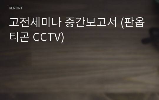 고전세미나 중간보고서 (판옵티곤 CCTV)