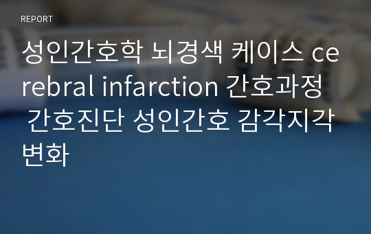 성인간호학 뇌경색 케이스 cerebral infarction 간호과정 간호진단 성인간호 감각지각변화