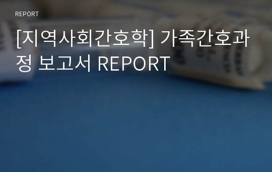 [지역사회간호학] 가족간호과정 보고서 REPORT