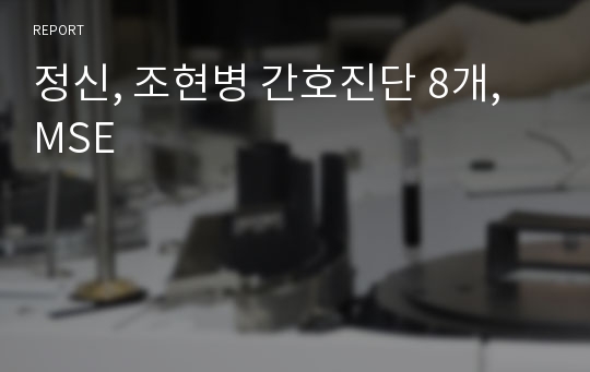 정신, 조현병 간호진단 8개, MSE