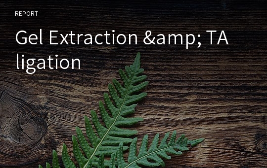 Gel Extraction &amp; TA ligation