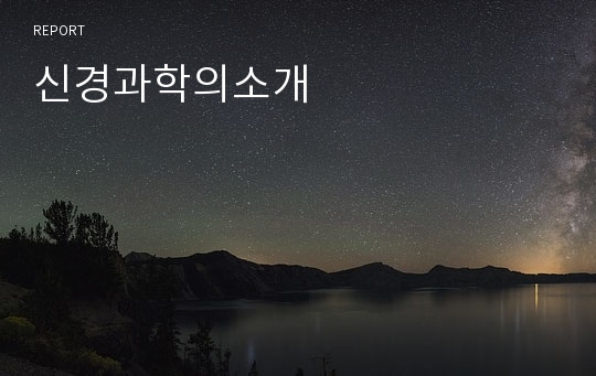 신경과학의소개 