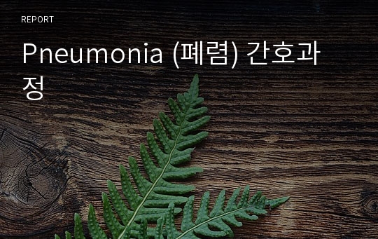 Pneumonia (폐렴) 간호과정