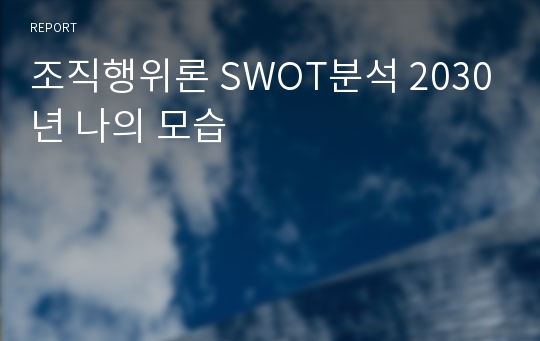 조직행위론 SWOT분석 2030년 나의 모습