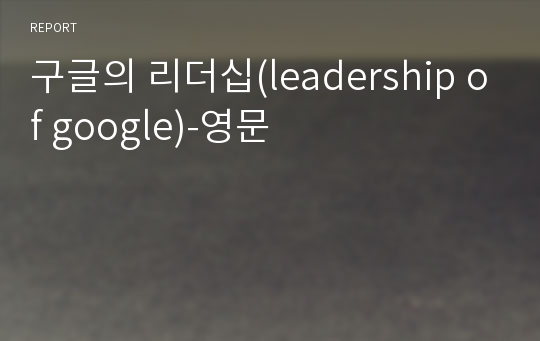 구글의 리더십(leadership of google)-영문