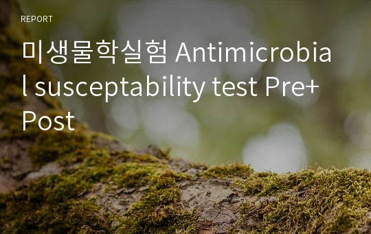 미생물학실험 Antimicrobial susceptability test Pre+Post