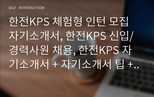 한전KPS 체험형 인턴 모집 자기소개서