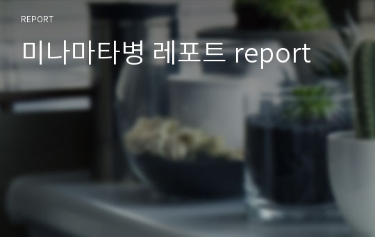 미나마타병 레포트 report
