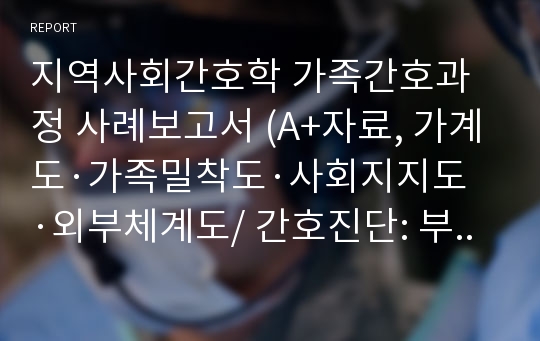 지역사회간호학 가족간호과정 사례보고서 (A+자료, 가계도·가족밀착도·사회지지도·외부체계도/ 간호진단: 부부역할장애, 가족 의사소통 장애, 재정관리 기술 및 재정부족, 가족발달과업의 미완, 생활공간의 부족)