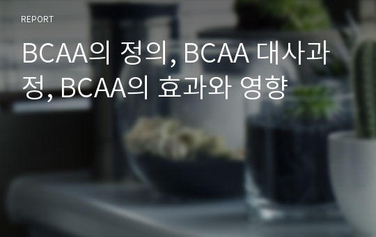 BCAA의 정의, BCAA 대사과정, BCAA의 효과와 영향