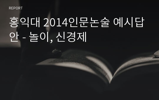홍익대 2014인문논술 예시답안 - 놀이, 신경제