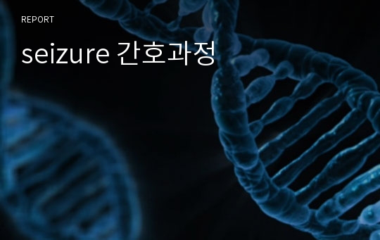 seizure 간호과정