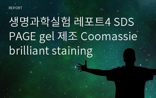 생명과학실험 레포트4 SDS PAGE gel 제조 Coomassie brilliant staining