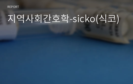 지역사회간호학-sicko(식코)