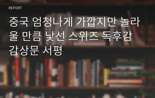 중국 엄청나게 가깝지만 놀라울 만큼 낯선 스위즈 독후감 감상문 서평