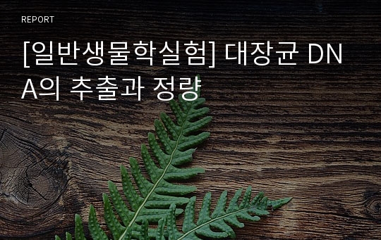 [일반생물학실험] 대장균 DNA의 추출과 정량