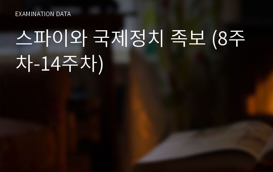 스파이와 국제정치 족보 (8주차-14주차)