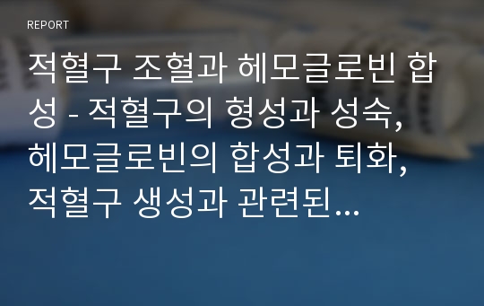 적혈구 조혈과 헤모글로빈 합성 - 적혈구의 형성과 성숙, 헤모글로빈의 합성과 퇴화, 적혈구 생성과 관련된 주요 영양소