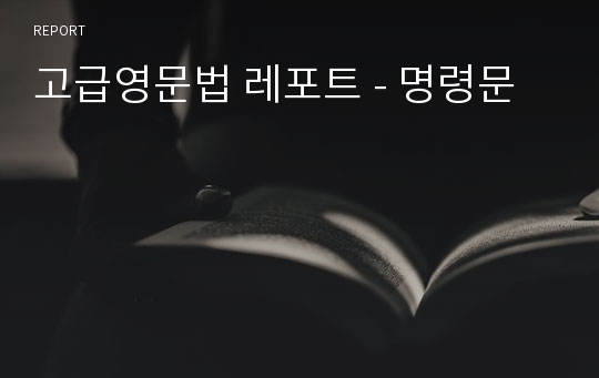 고급영문법 레포트 - 명령문