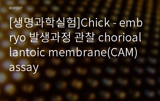 [생명과학실험]Chick - embryo 발생과정 관찰 chorioallantoic membrane(CAM) assay