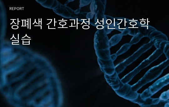 장폐색 간호과정 성인간호학실습