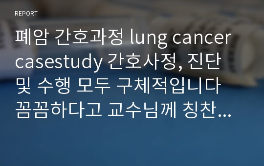 폐암 간호과정 lung cancer casestudy 간호사정, 진단 및 수행 모두 구체적입니다 꼼꼼하다고 교수님께 칭찬받은 자료입니다 A+ 자료입니다