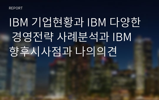 IBM 기업현황과 IBM 다양한 경영전략 사례분석과 IBM 향후시사점과 나의의견