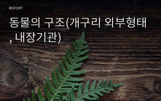 동물의 구조(개구리 외부형태, 내장기관)