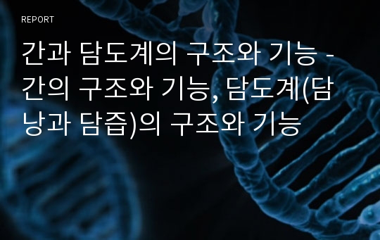 간과 담도계의 구조와 기능 - 간의 구조와 기능, 담도계(담낭과 담즙)의 구조와 기능