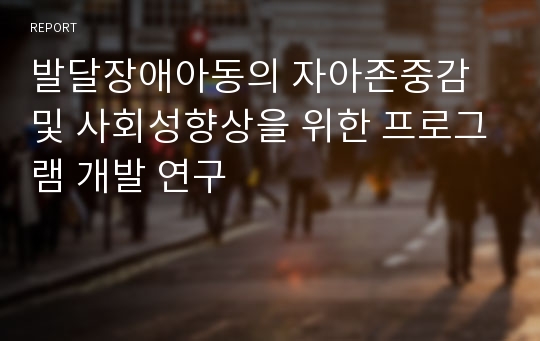 발달장애아동의 자아존중감 및 사회성향상을 위한 프로그램 개발 연구