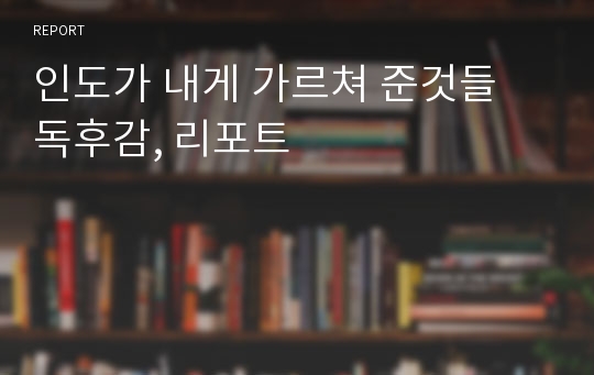 인도가 내게 가르쳐 준것들 독후감, 리포트