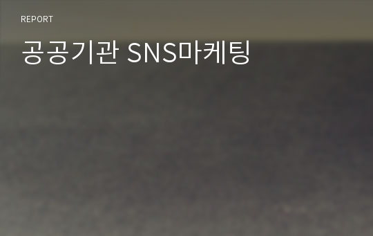 공공기관 SNS마케팅