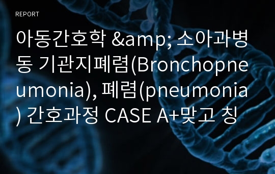 아동간호학 &amp; 소아과병동 기관지폐렴(Bronchopneumonia), 폐렴(pneumonia) 간호과정 CASE A+맞고 칭찬받은케이스입니다 간호과정5개