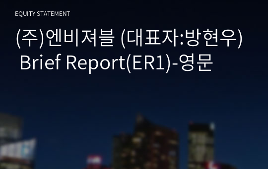 (주)엔비져블 Brief Report(ER1)-영문