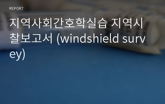 지역사회간호학실습 지역시찰보고서 (windshield survey)