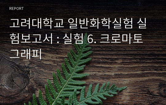 고려대학교 일반화학실험 실험보고서 : 실험 6. 크로마토그래피