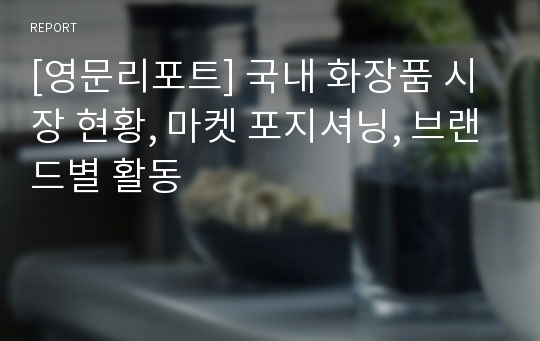 [영문리포트] 국내 화장품 시장 현황, 마켓 포지셔닝, 브랜드별 활동