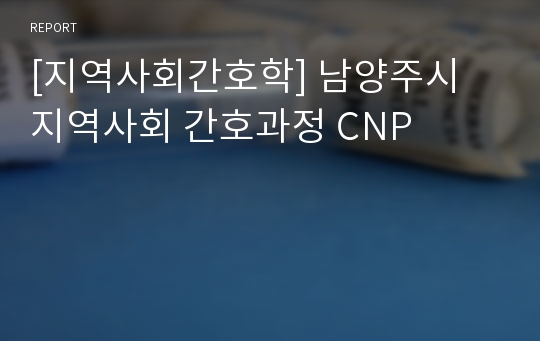 [지역사회간호학] 남양주시 지역사회 간호과정 CNP