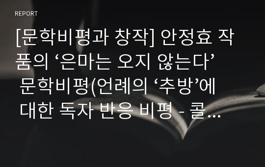 [문학비평과 창작] 안정효 작품의 ‘은마는 오지 않는다’ 문학비평(언례의 ‘추방’에 대한 독자 반응 비평 - 콜버그의 도덕성 발달 이론을 중심으로)