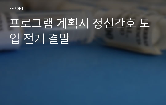 프로그램 계획서 정신간호 도입 전개 결말